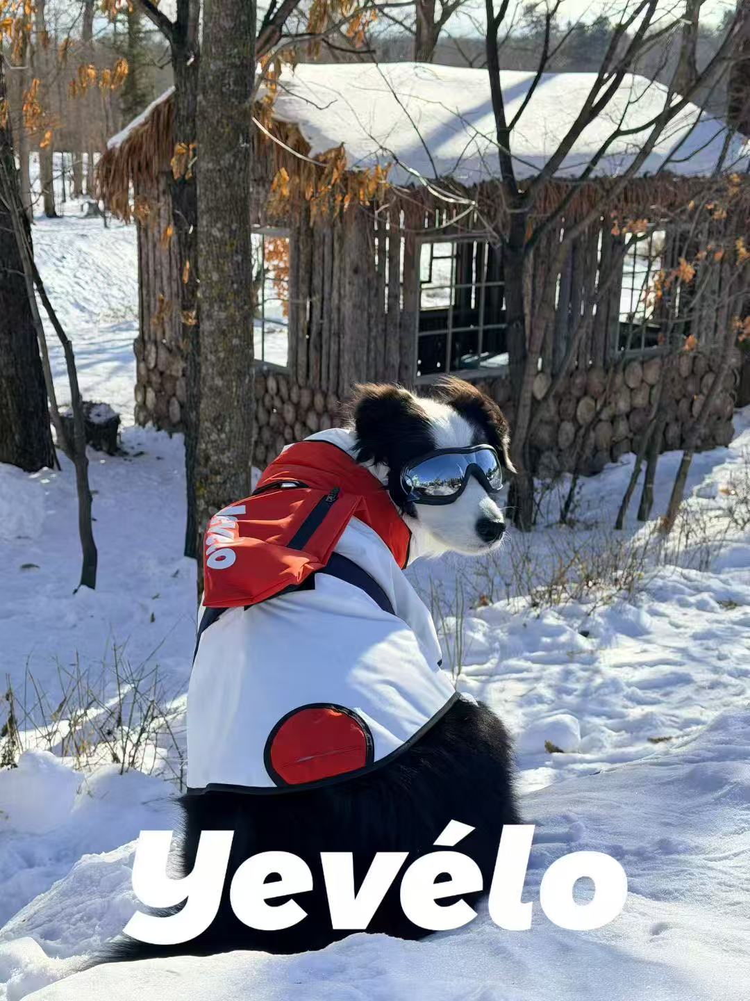 Apparel