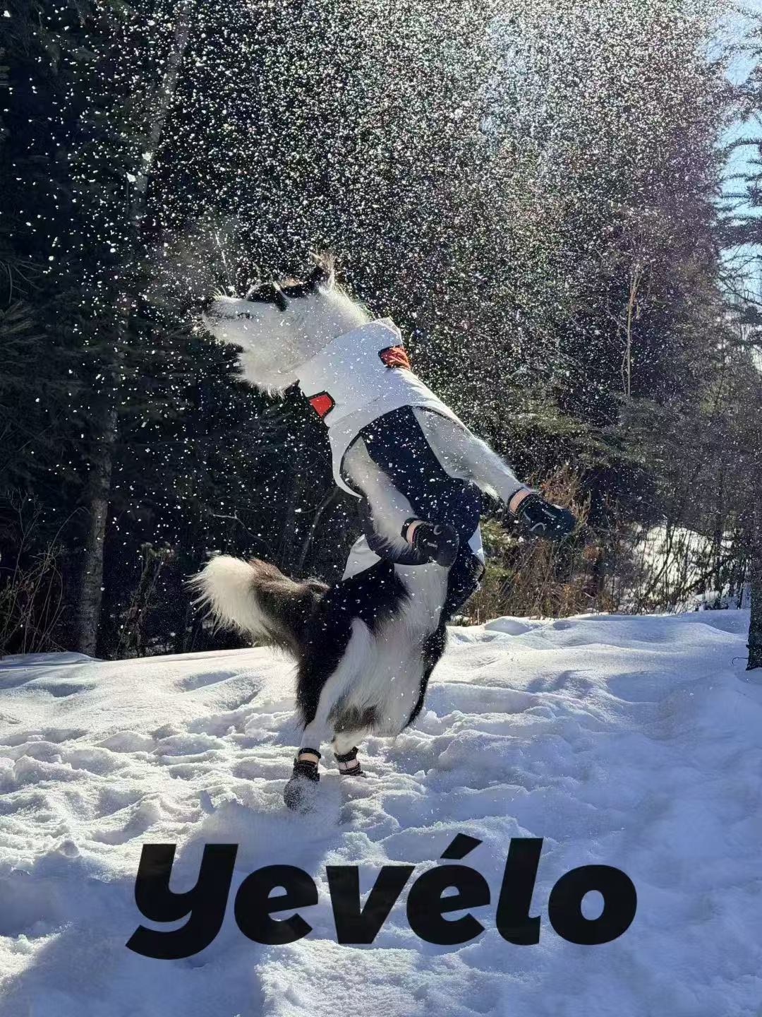 Yevélo Story