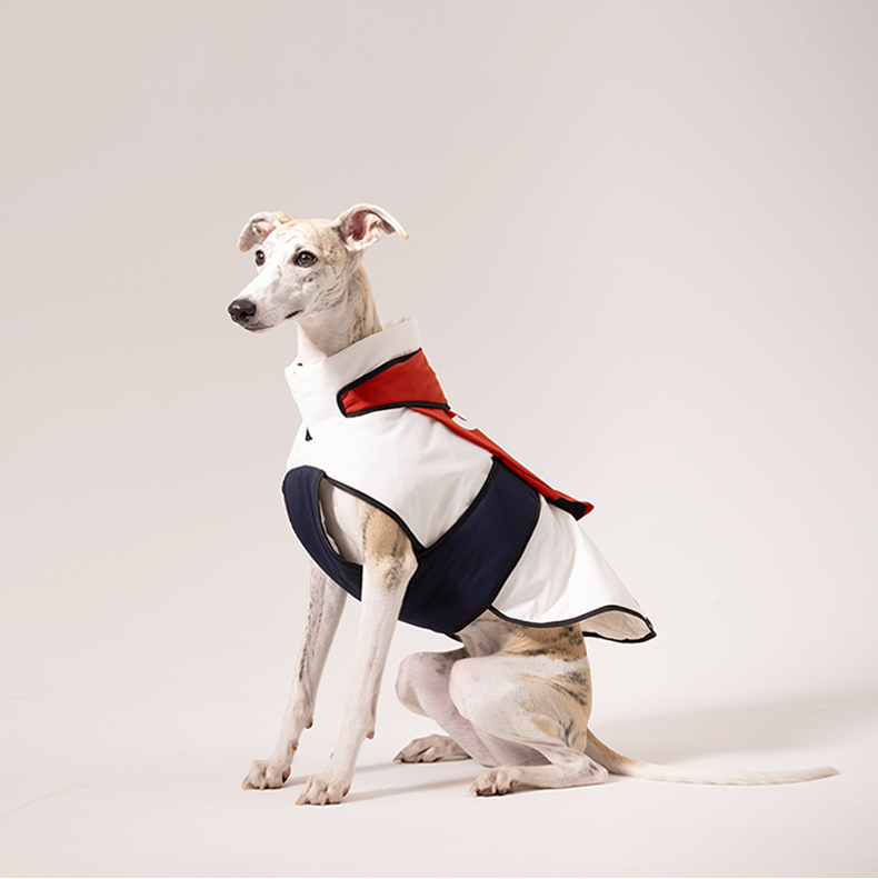 Circus Code Collection