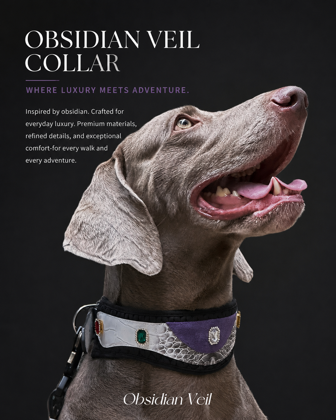 Obsidian Veil Collar