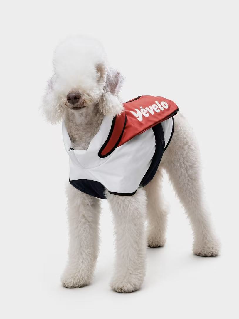 Circus code Dog cotton vest
