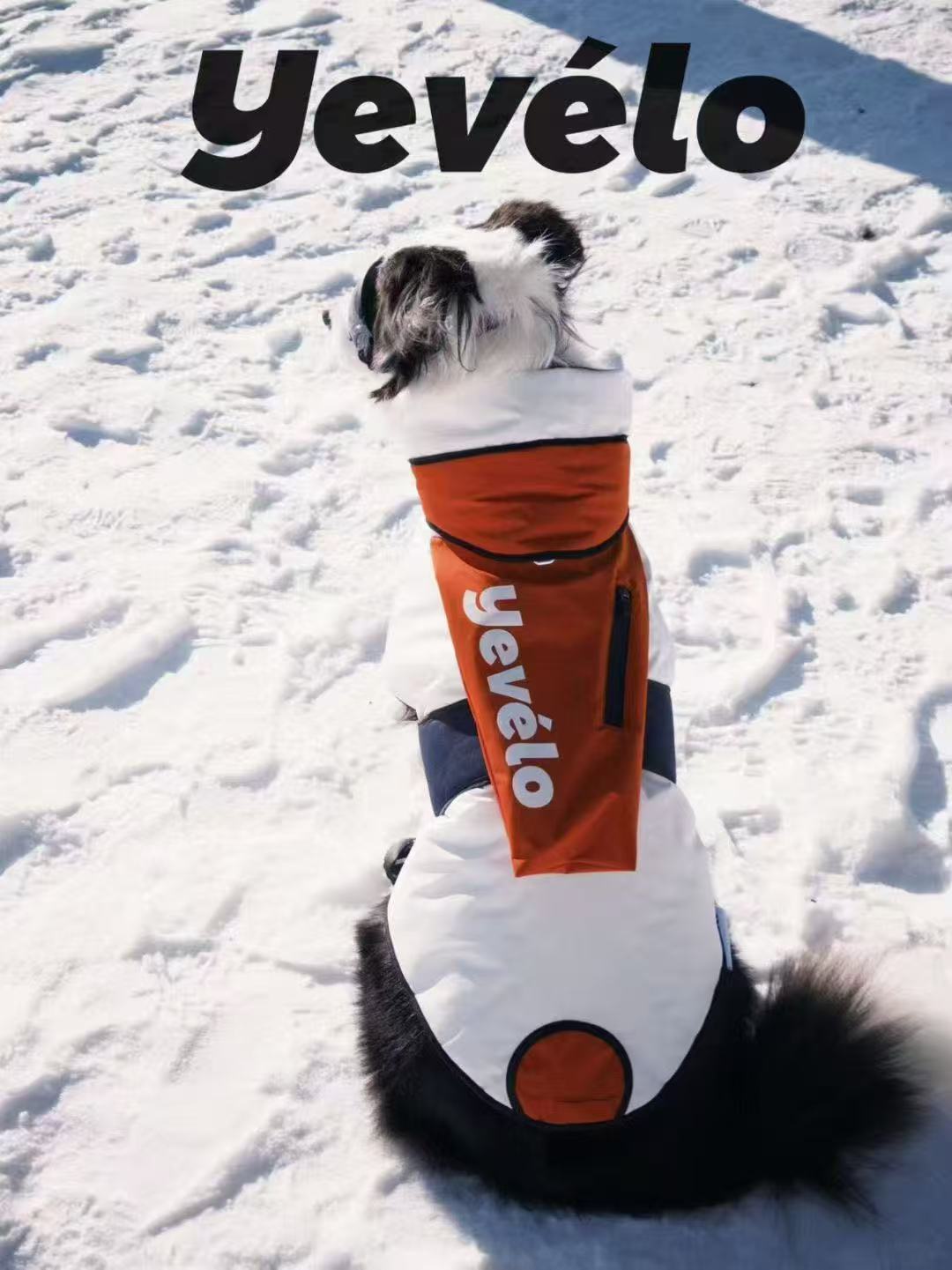 Circus Dog cotton vest