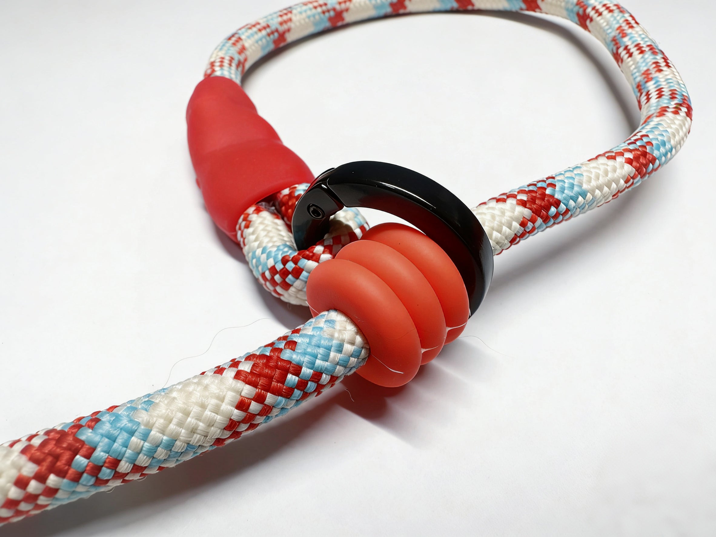 Circus dog training leash
