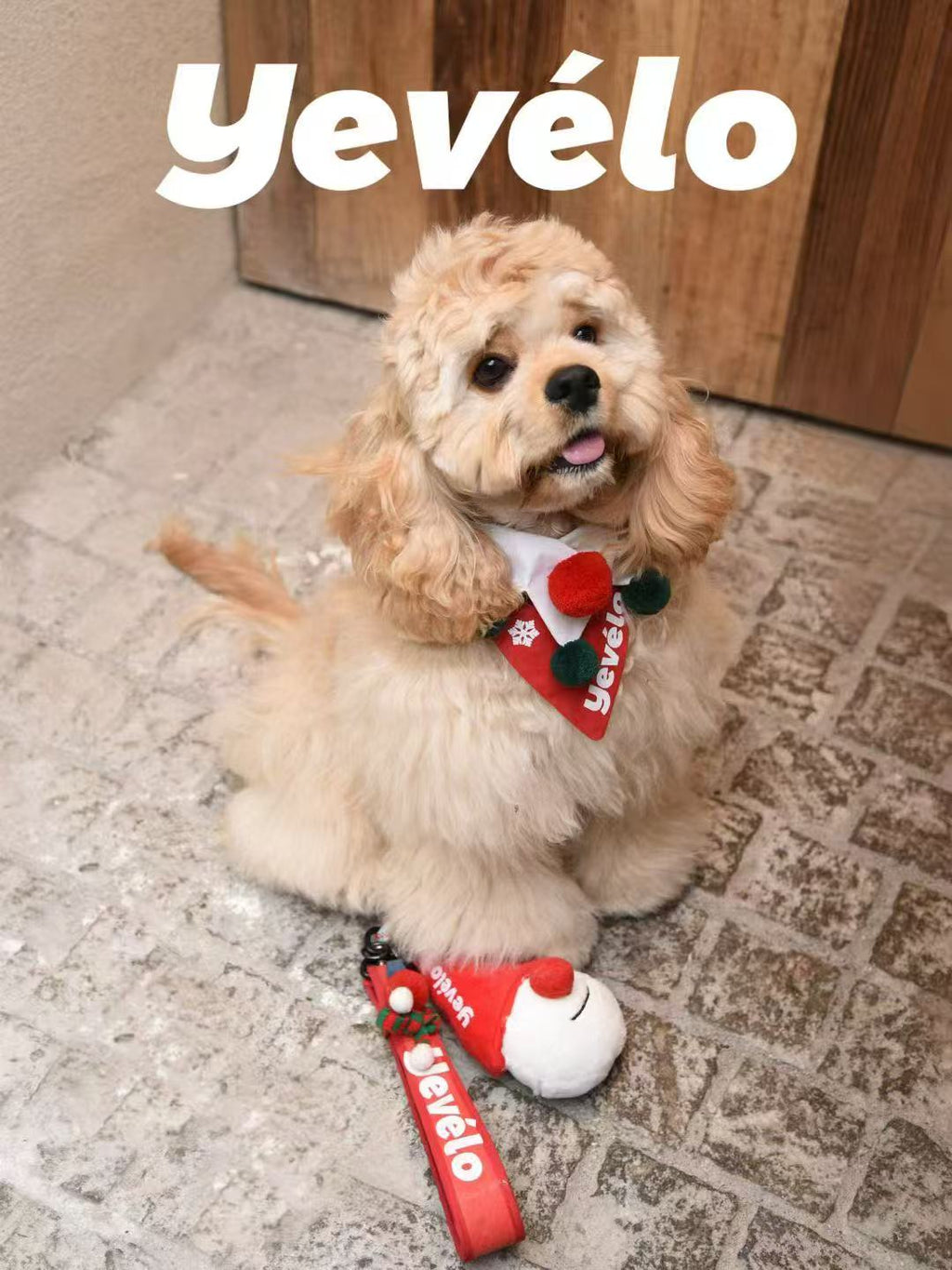 Christmas Pet Drool Bib