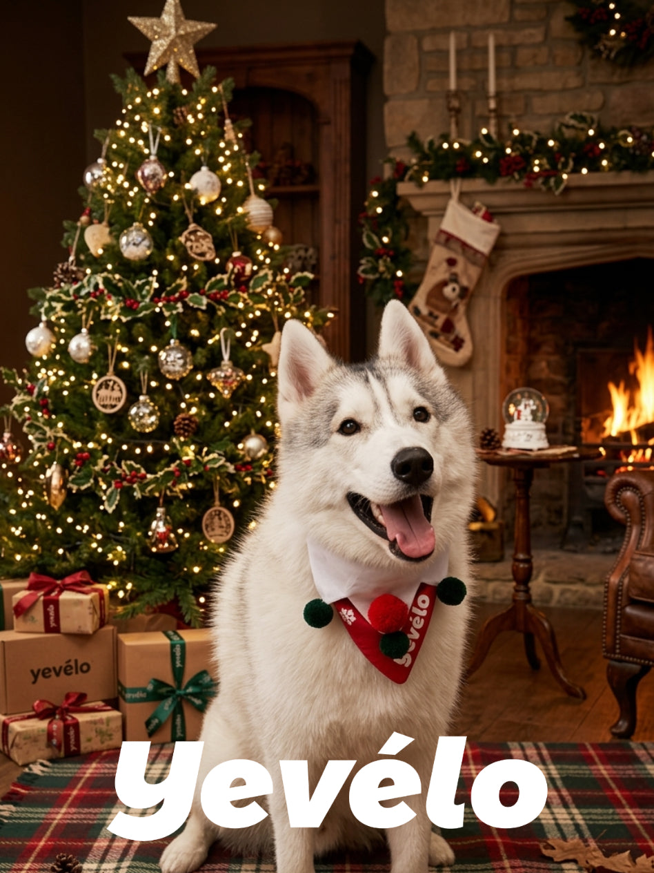Utility Bib-Holiday Dog Bandana