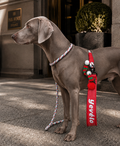 Circus code dog training leash