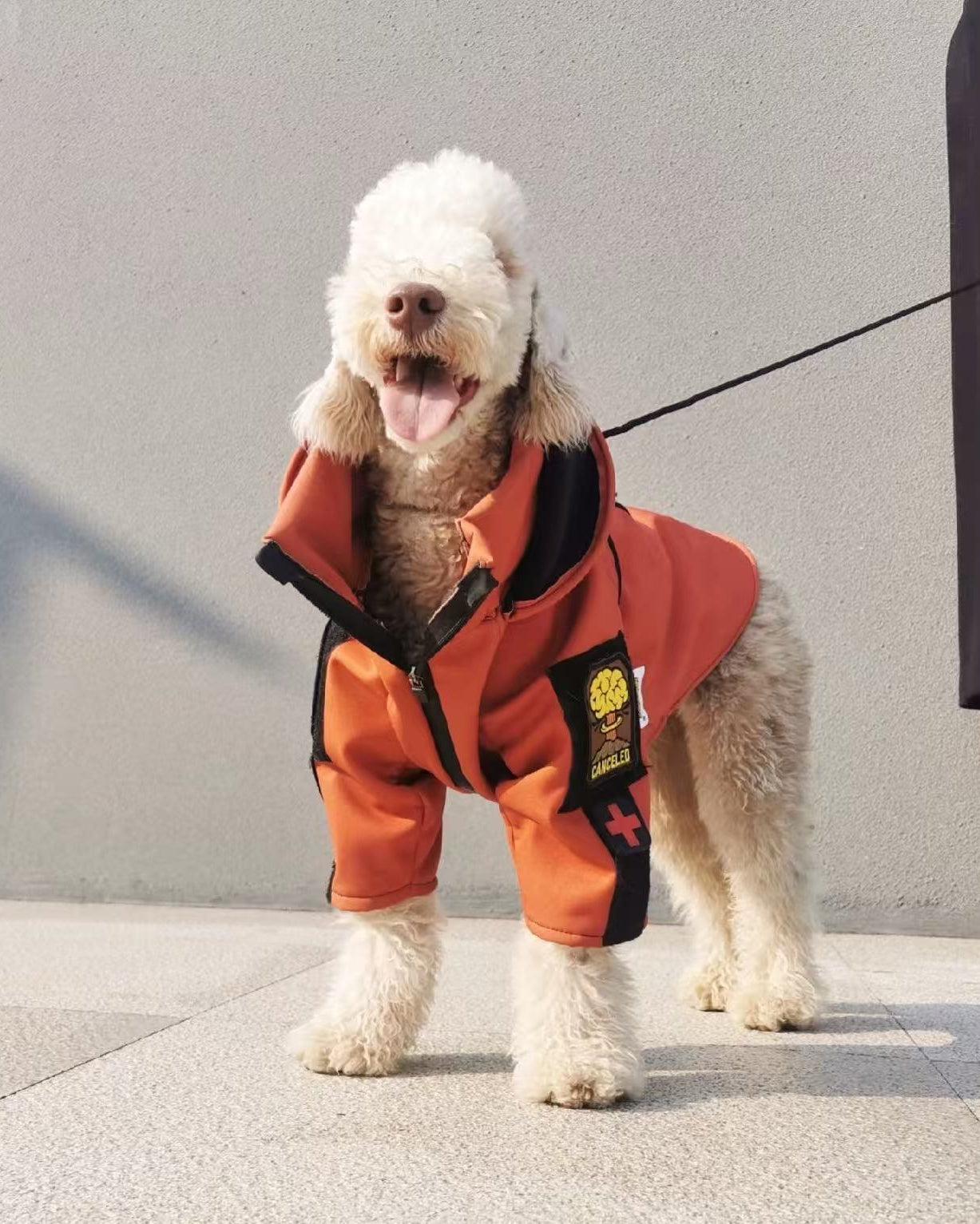 Alpine Club soft Shell jacket-Ember Orange