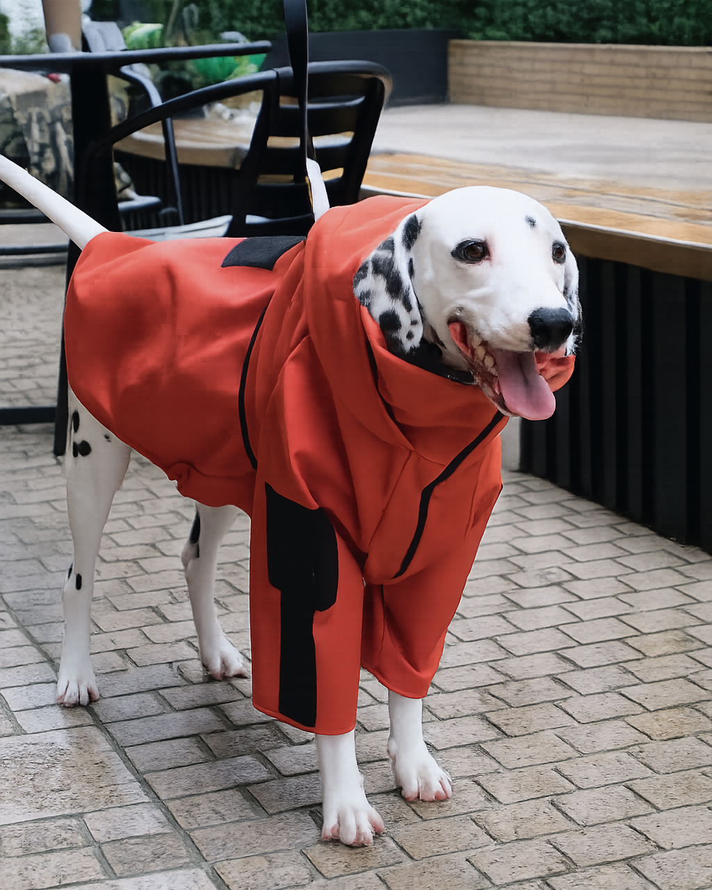 Alpine Club soft Shell jacket-Ember Orange