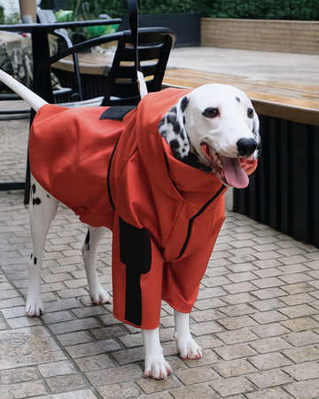 Alpine Club soft Shell jacket-Ember Orange