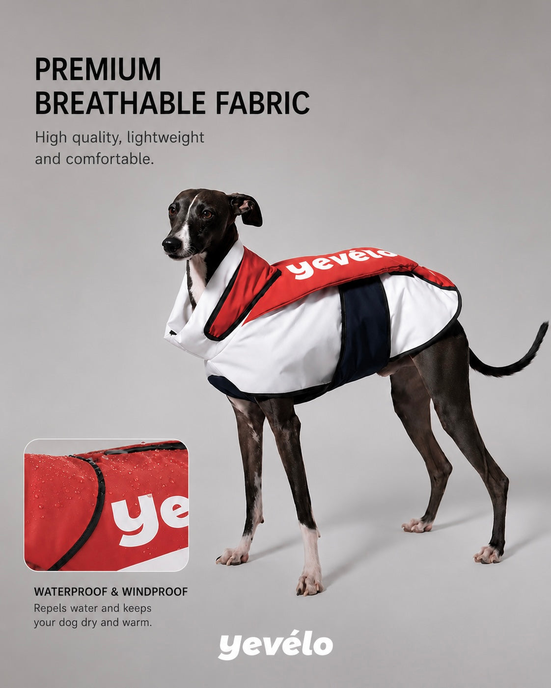 Alpine Club Insulated Vest