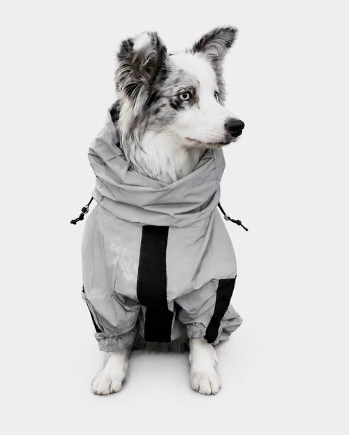 Alpine Club Reflective Rain Shell