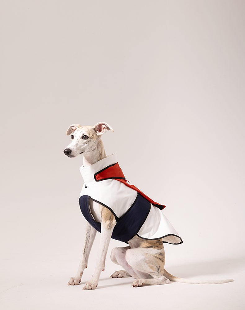 Circus Dog cotton vest