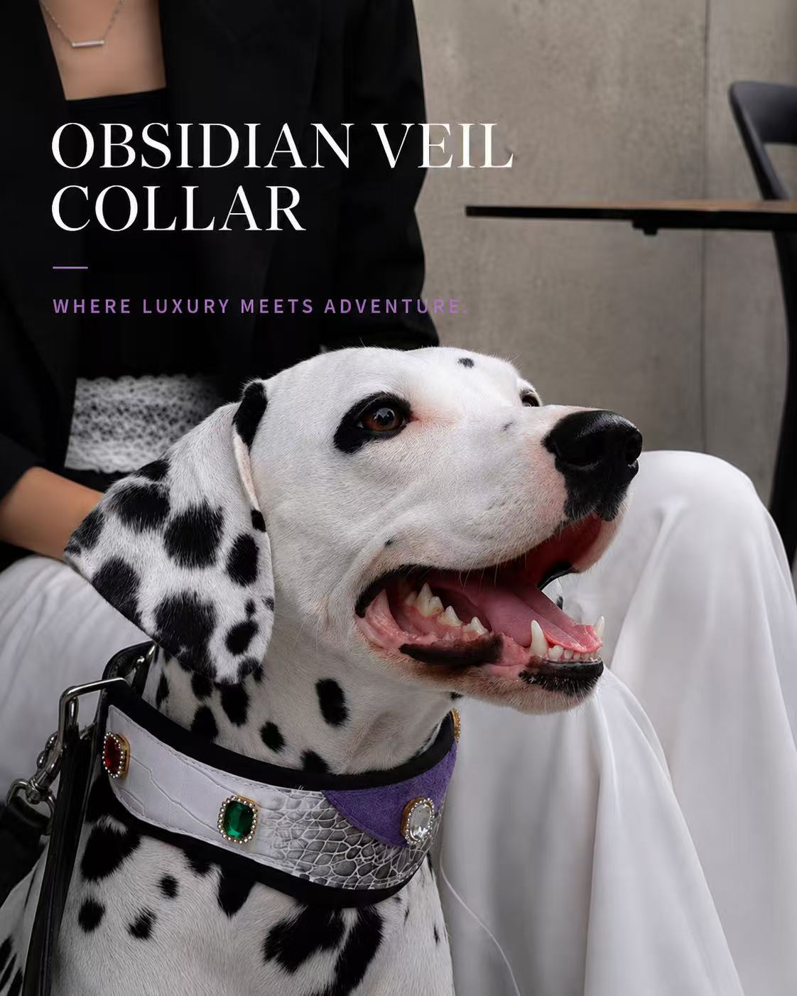 Obsidian Veil Collar